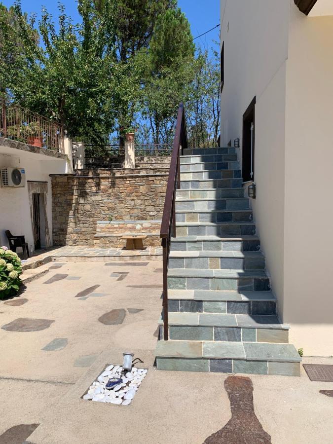 Studio With Loft Raxes Ikaria #5 Raches  المظهر الخارجي الصورة